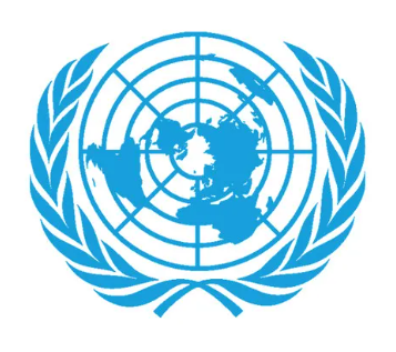 uluslararası organizasyonlar